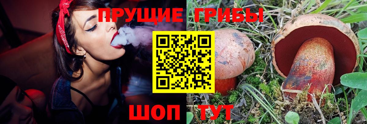 Галлюциногенные грибы Magic Shrooms Баксан